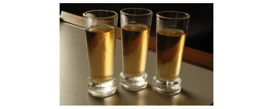 Homemade Becherovka (Czech Herbal Liqueur)